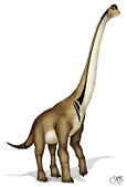 Ultrasaurus