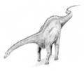 Diplodocus4.jpg