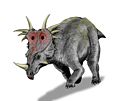 Styracosaurus BW.jpg