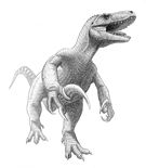 Megaraptor