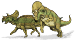 Avaceratops