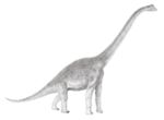 Brachiosaurus