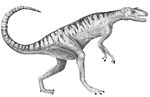 Herrerasaurus