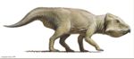 Leptoceratops