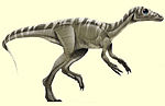 Eoraptor