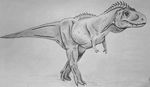 Nanotyrannus