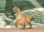 Deinonychus