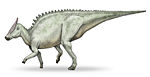 Saurolophus