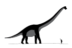 Sauroposidon