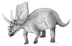 Chasmosaurus