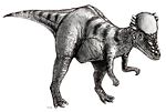 Pachycephalosaurus