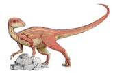 Abrictosaurus