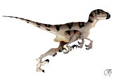 Utahraptor