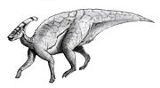 Sketch parasaurolophus.jpg