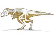 Loin devant le T-Rex, voici le dinosaure le plus terrifiant selon ce  paléontologue reconnu