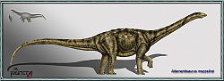  Adamantisaurus mezzalirai