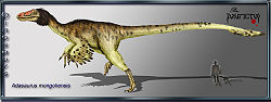  Adasaurus mongoliensis