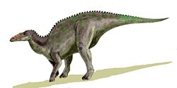  Anatotitan copei