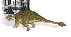  Modelage 3D de l'Ankylosaurus