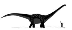  Antarctosaurus