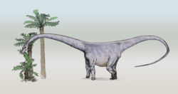 Barosaure