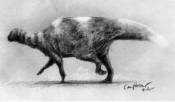  Camptosaurus