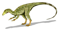 Camp de Canjuers (Var), Compsognathus fossile