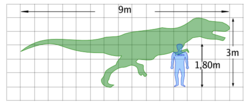  Taille d'un Daspletosaurus spomparé à l'homme