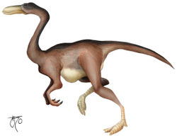  Gallimimus