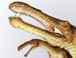  Irritator challengeri