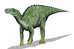  Kritosaurus