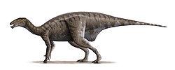  Iguanodon