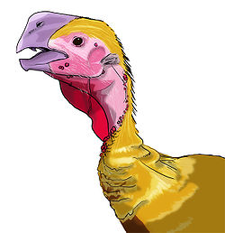  Oviraptor