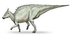  Saurolophus