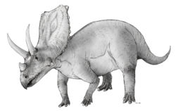  Chasmosaurus