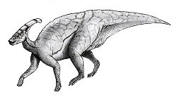  Parasaurolophus