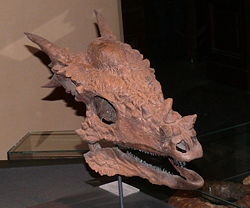 Stygimoloch spinifer