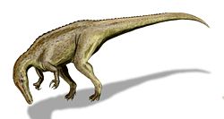  Suchomimus tenerensis