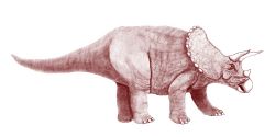  Tricératops