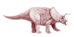  Tricératops