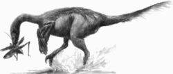  Troödon (Troodon)