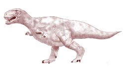  Tyrannosaurus rex