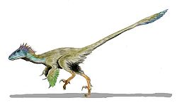  Utahraptor